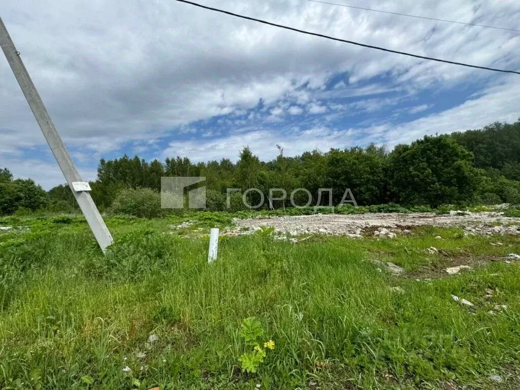 Участок в Московская область, Ступино городской округ, д. ... - Фото 0