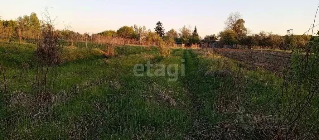 Участок в Калужская область, Бабынинский район, Утешево с/пос, с. ... - Фото 2