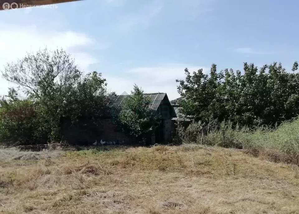 Участок в Кочетовская, Народная улица, 35 (12 м) - Фото 1