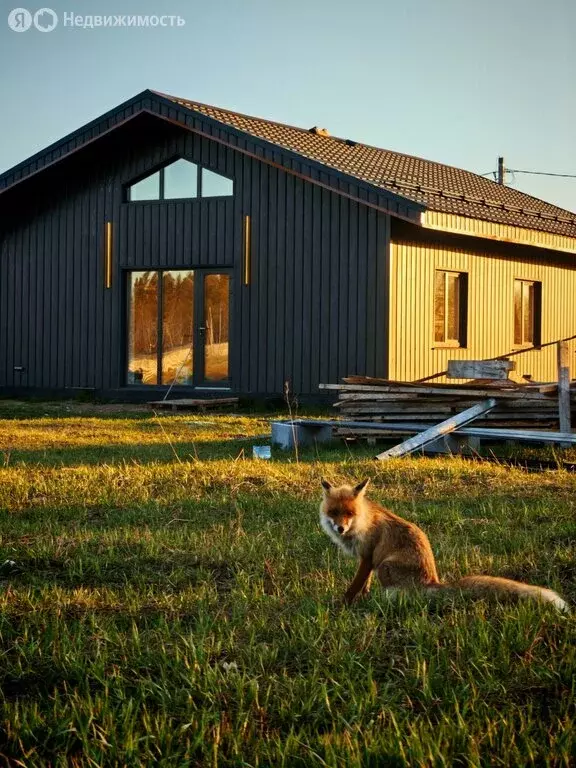 Дом в Пермский муниципальный округ, деревня Качка (80 м) - Фото 2