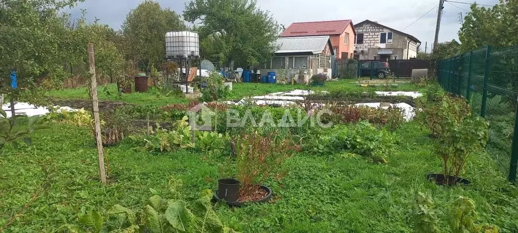 Участок в Калининградская область, Калининград Железнодорожник СНТ,  ... - Фото 1