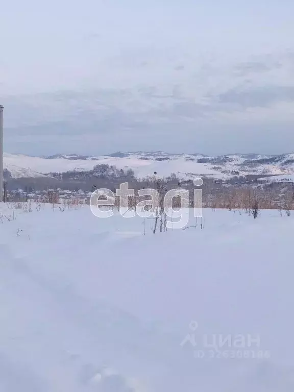 Участок в Алтайский край, Алтайский район, с. Алтайское ул. Полевая ... - Фото 1
