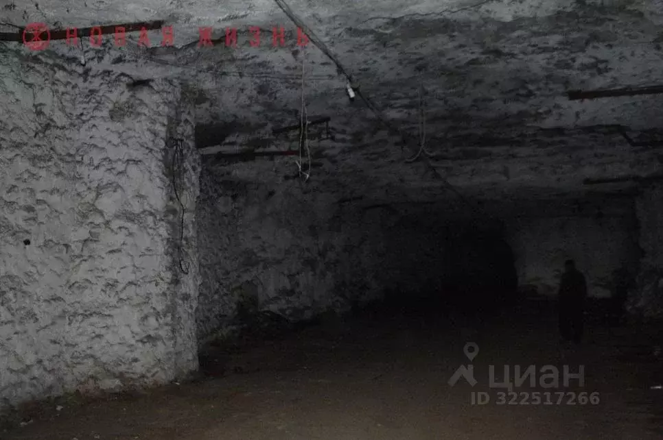 Производственное помещение в Самарская область, Самара ш. ... - Фото 1