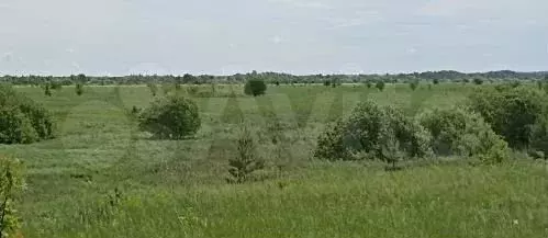 Участок 130 га (СНТ, ДНП) - Фото 1