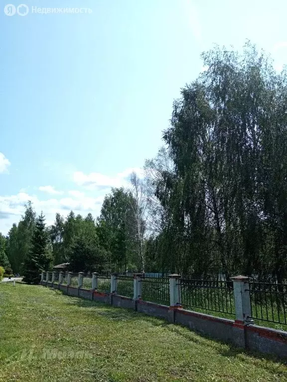 Участок в Московская область, городской округ Щёлково, КП ... - Фото 1