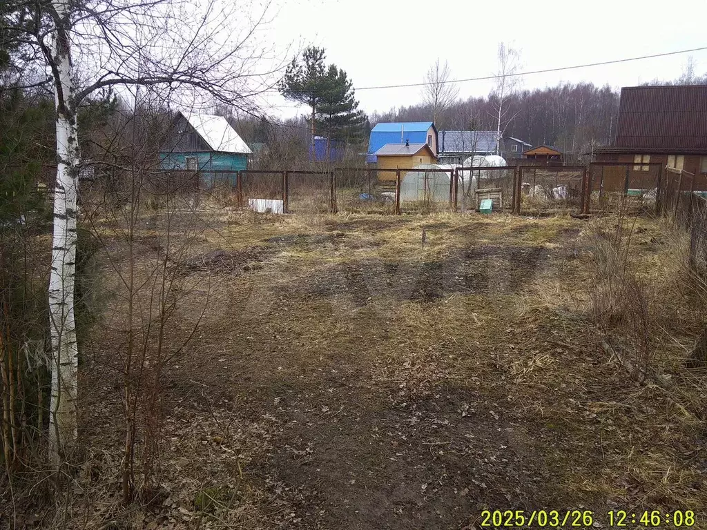 Участок 6,2 сот. (СНТ, ДНП) - Фото 0