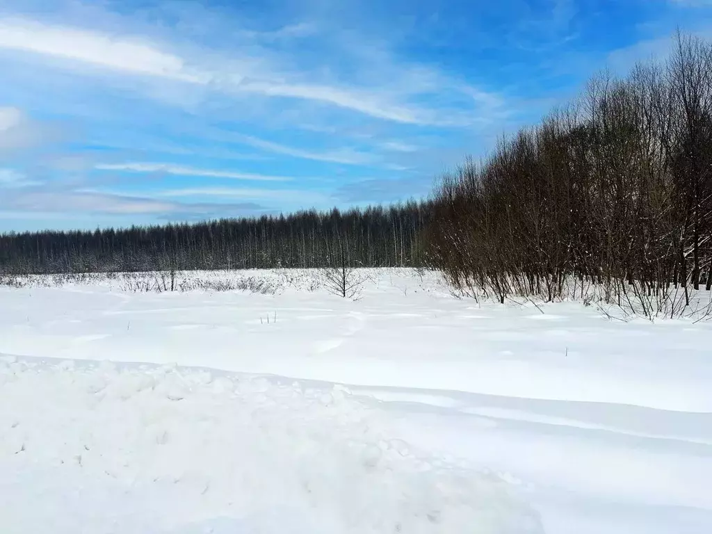 Участок в Московская область, Раменский муниципальный округ, Оттепель ... - Фото 2