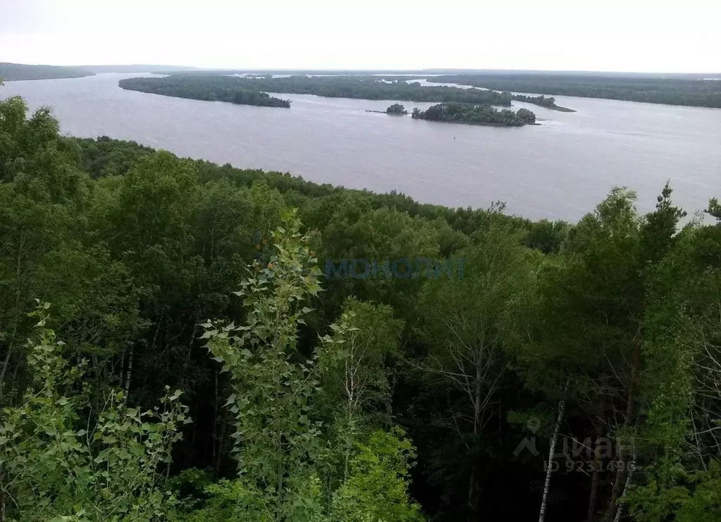 Участок в Нижегородская область, Воротынский городской округ, с. ... - Фото 1