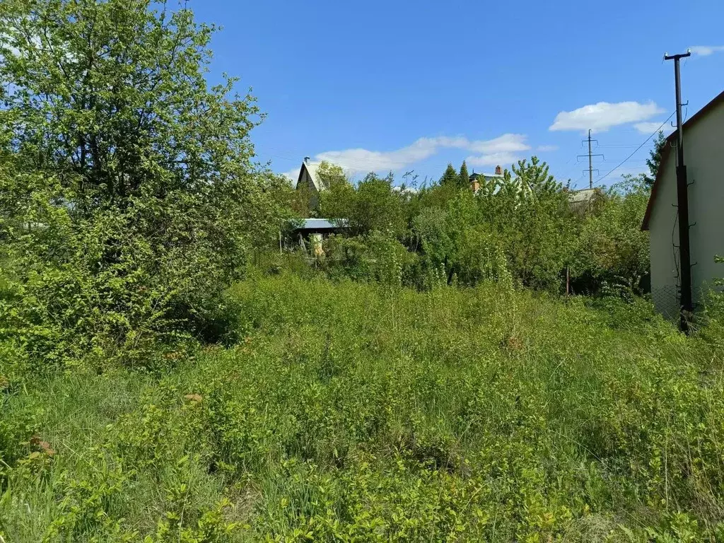 Участок в Саратовская область, Саратов Лето СНТ,  (6.0 сот.) - Фото 1