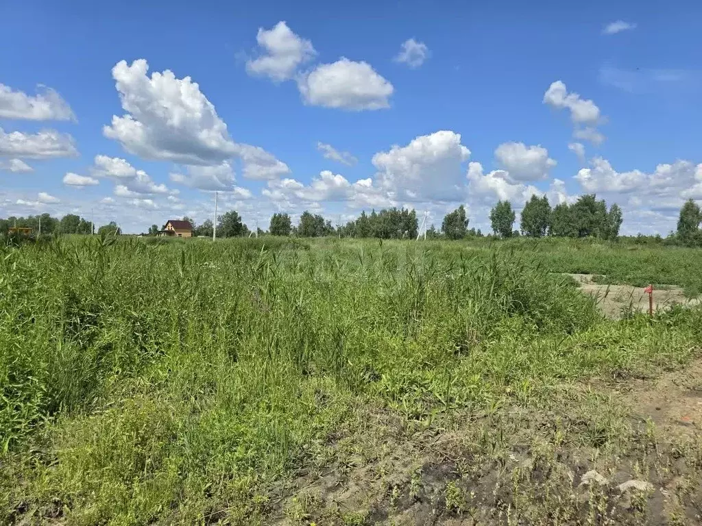 Участок в Тюменская область, Нижнетавдинский муниципальный округ, ... - Фото 2