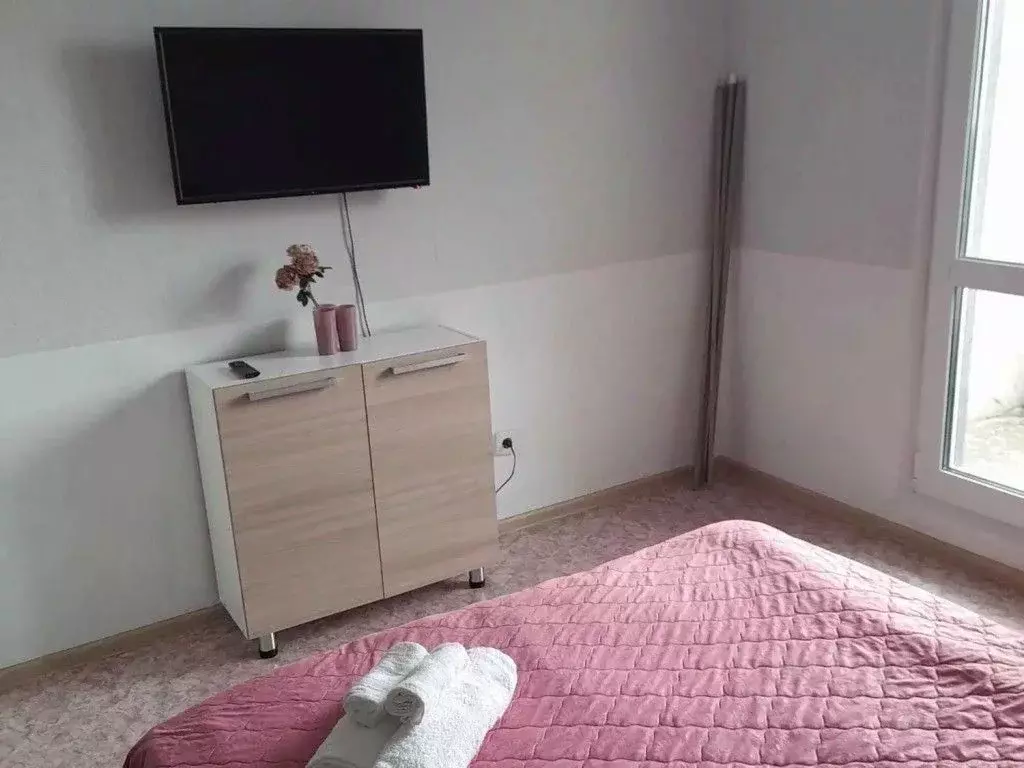 1-к кв. Самарская область, Самара ул. Петра Алабина, 6 (24.0 м) - Фото 2