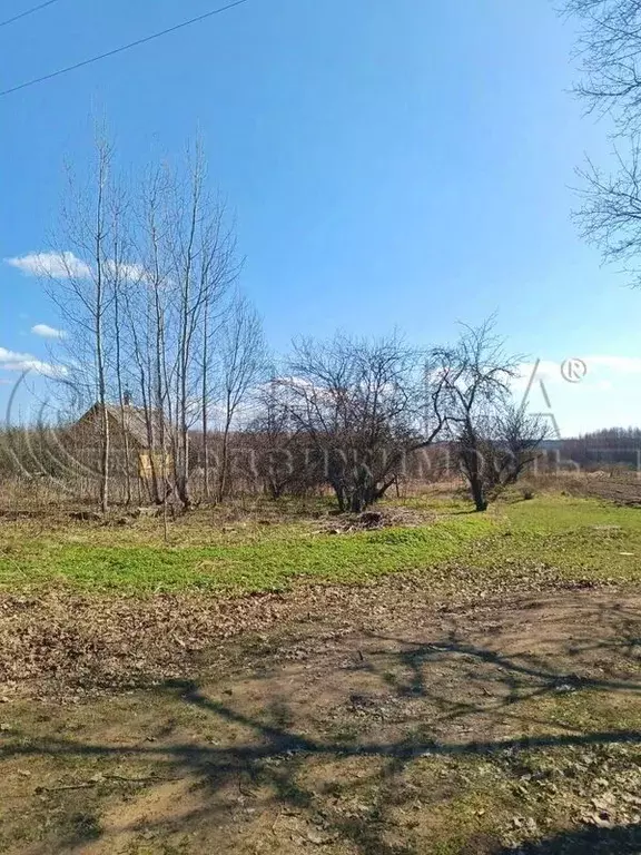 Участок в Псковская область, Гдовский район, Самолвовская волость, д. ... - Фото 1