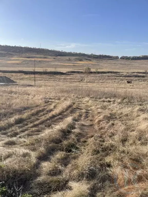 Участок в Крым, Симферопольский район, Чистенское с/пос, Ивушка ... - Фото 1