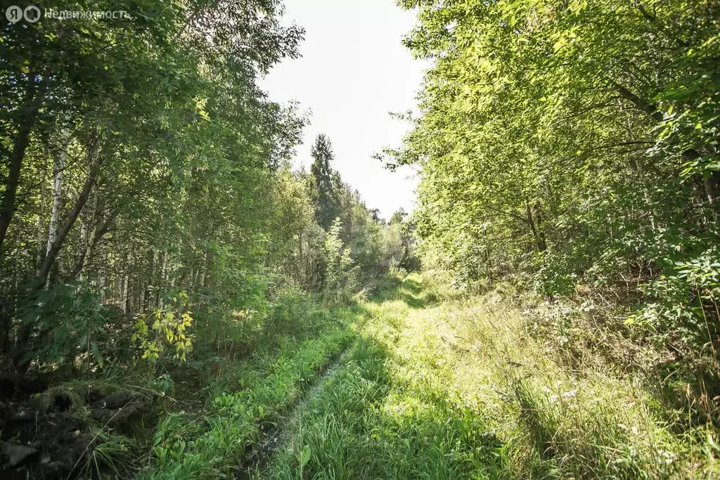 Участок в Искитимский район, Мичуринский сельсовет, дачное ... - Фото 0