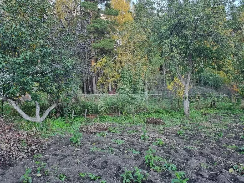 Дом в Челябинская область, Миасс Дачный СНТ, 191 (15 м) - Фото 2