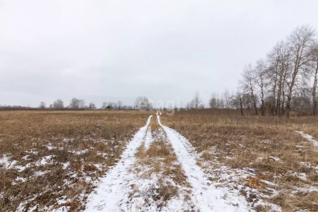 Участок в Тюменская область, Тюменский район, с. Ембаево Сосновая ул. ... - Фото 1