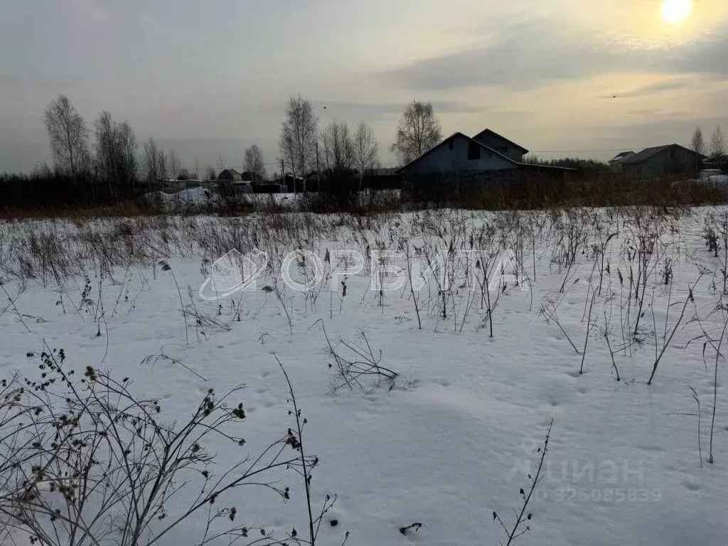 Участок в Тюменская область, Тюмень Царево садовое товарищество, ул. ... - Фото 1
