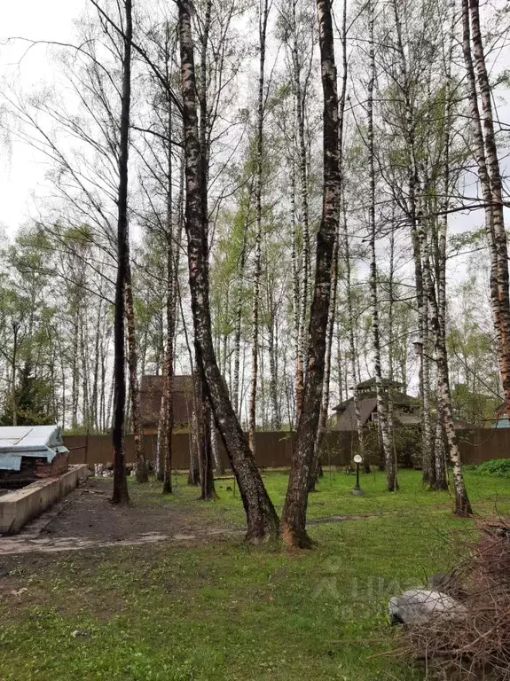 Участок в Московская область, Одинцовский городской округ, Русское ... - Фото 0