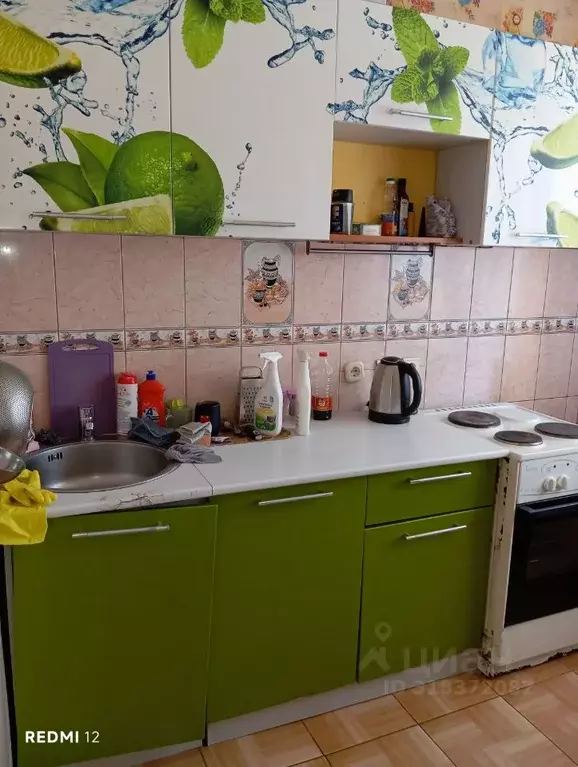2-к кв. Новосибирская область, Новосибирск Новосибирская ул., 12 (50.0 ... - Фото 0
