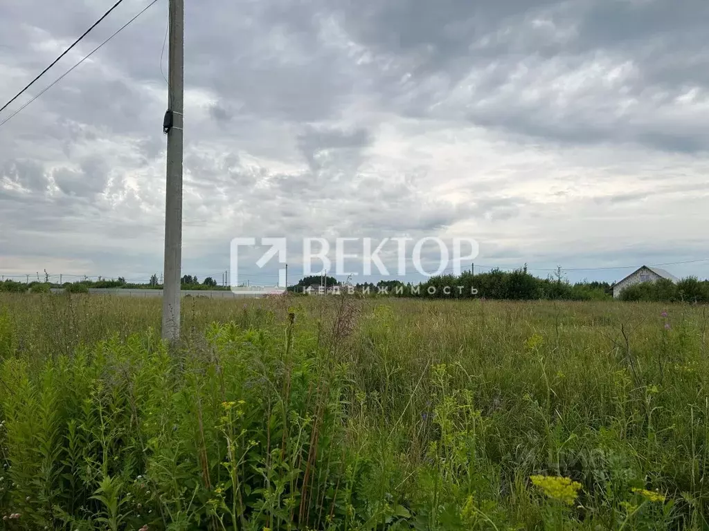Участок в Костромская область, Кострома Соколиное Гнездо кп, 1 (7.3 ... - Фото 1
