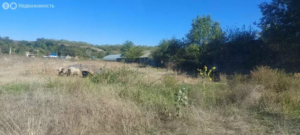 Участок в станица Владимирская, Телеграфная улица (20 м) - Фото 2