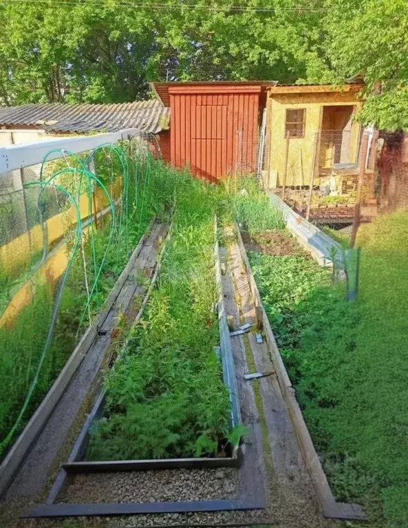 2-к кв. Калужская область, пос. Ферзиково ул. Бычкова, 7 (40.0 м) - Фото 2