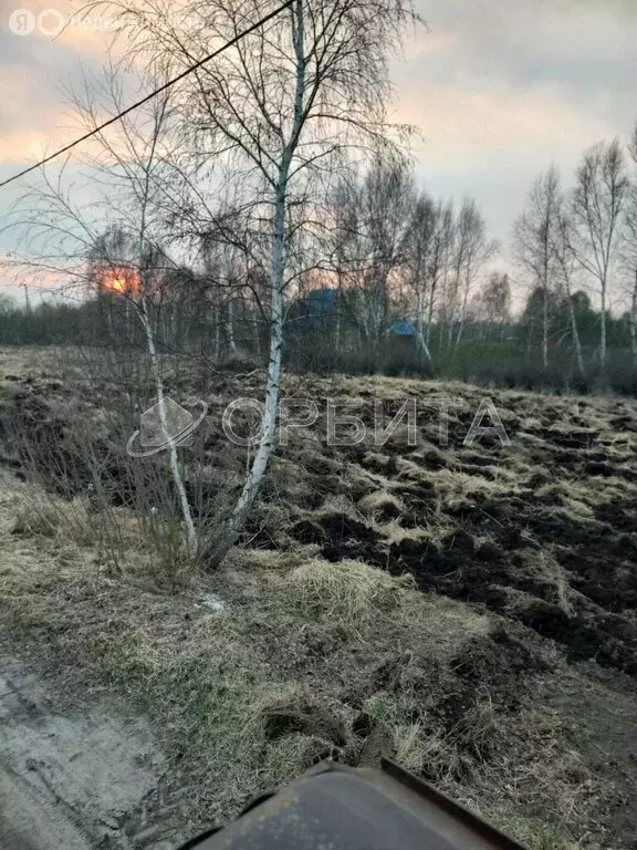 Участок в Нижнетавдинский район, садовое товарищество Моторостроитель ... - Фото 1