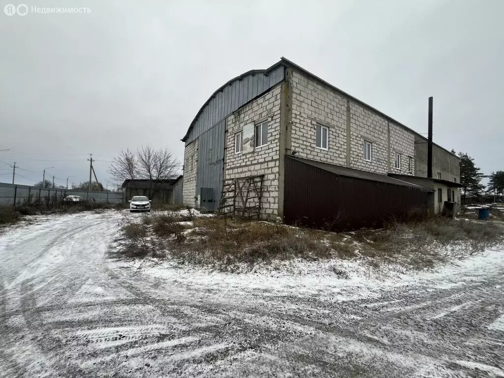 Помещение свободного назначения (700 м) - Фото 2