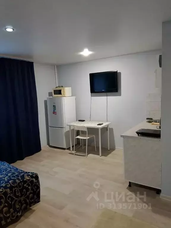 Студия Самарская область, Самара Бобруйская ул., 116 (25.0 м) - Фото 1