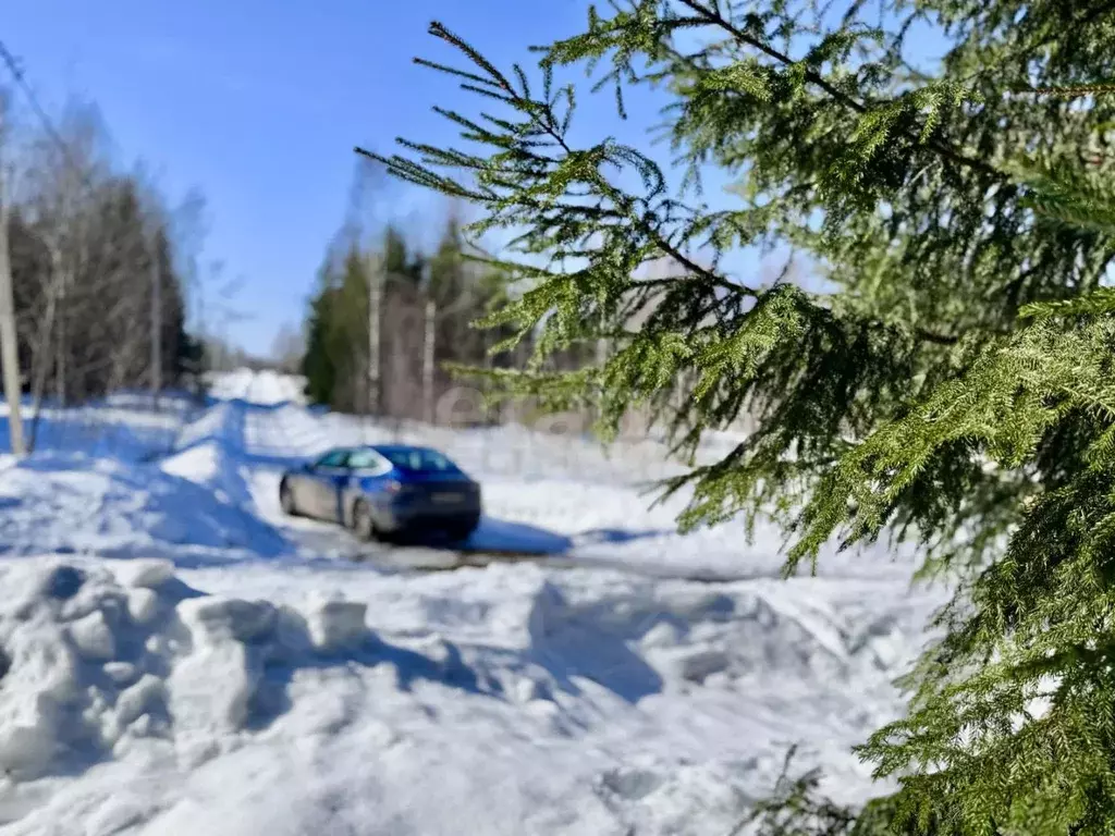 Участок в Московская область, Клин городской округ, Подсолнухи кп ул. ... - Фото 2