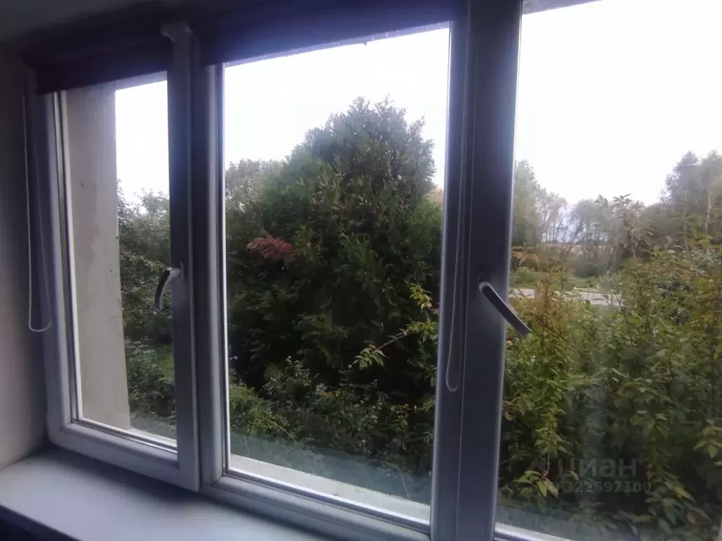 2-к кв. Калининградская область, Зеленоградский муниципальный округ, ... - Фото 2