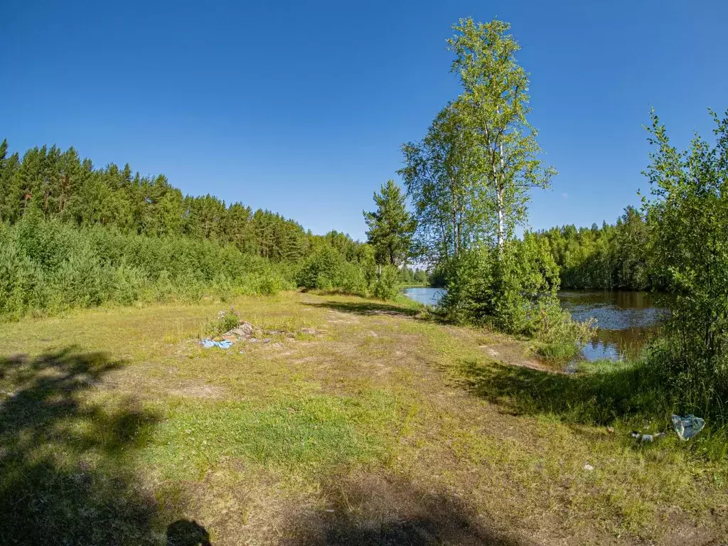 Участок в Карелия, Пряжинский район, Эссойльское с/пос, пос. Сяпся  ... - Фото 2
