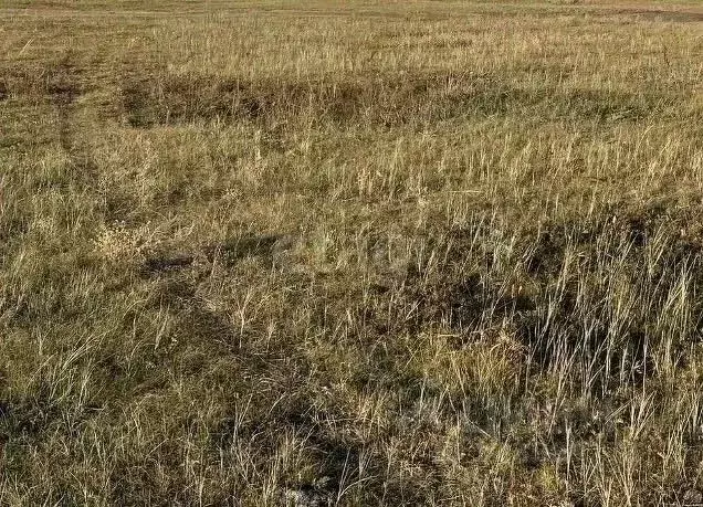 Участок в Саха (Якутия), Якутск проезд Ромашковый, 7 (10.0 сот.) - Фото 2