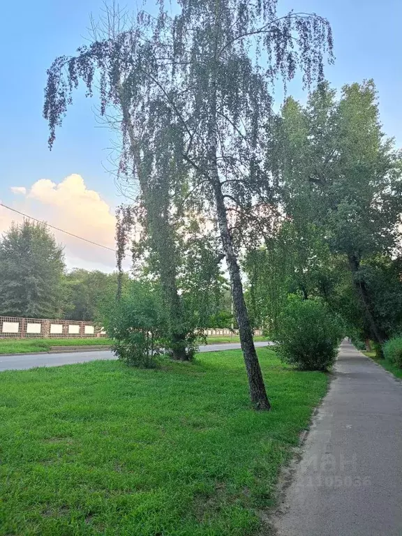 Комната Воронежская область, Воронеж Ленинградская ул., 128 (14.2 м) - Фото 0