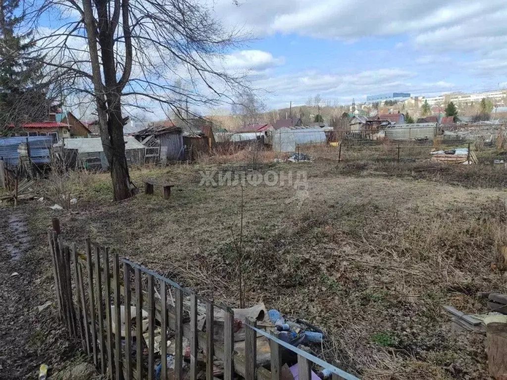 Участок в Новосибирская область, Новосибирский район, Каменский ... - Фото 1