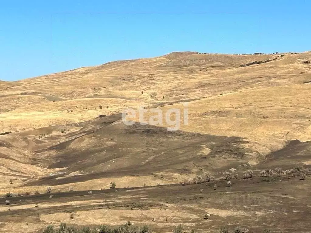 Участок в Ставропольский край, Ставрополь Долина ДНТ, ул. Долина-4 ... - Фото 2