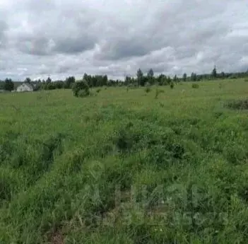 Участок в Московская область, Серпухов городской округ, д. Нефедово  ... - Фото 1