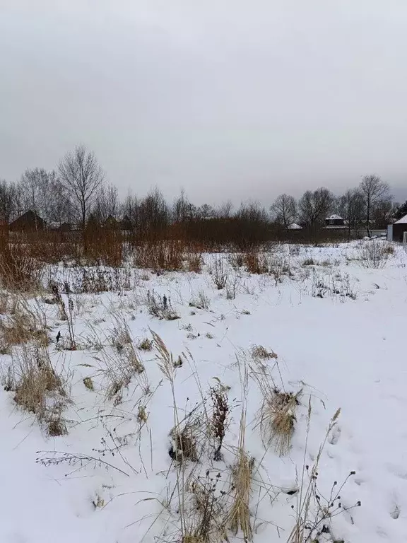 Участок в Московская область, Павлово-Посадский городской округ, д. ... - Фото 0