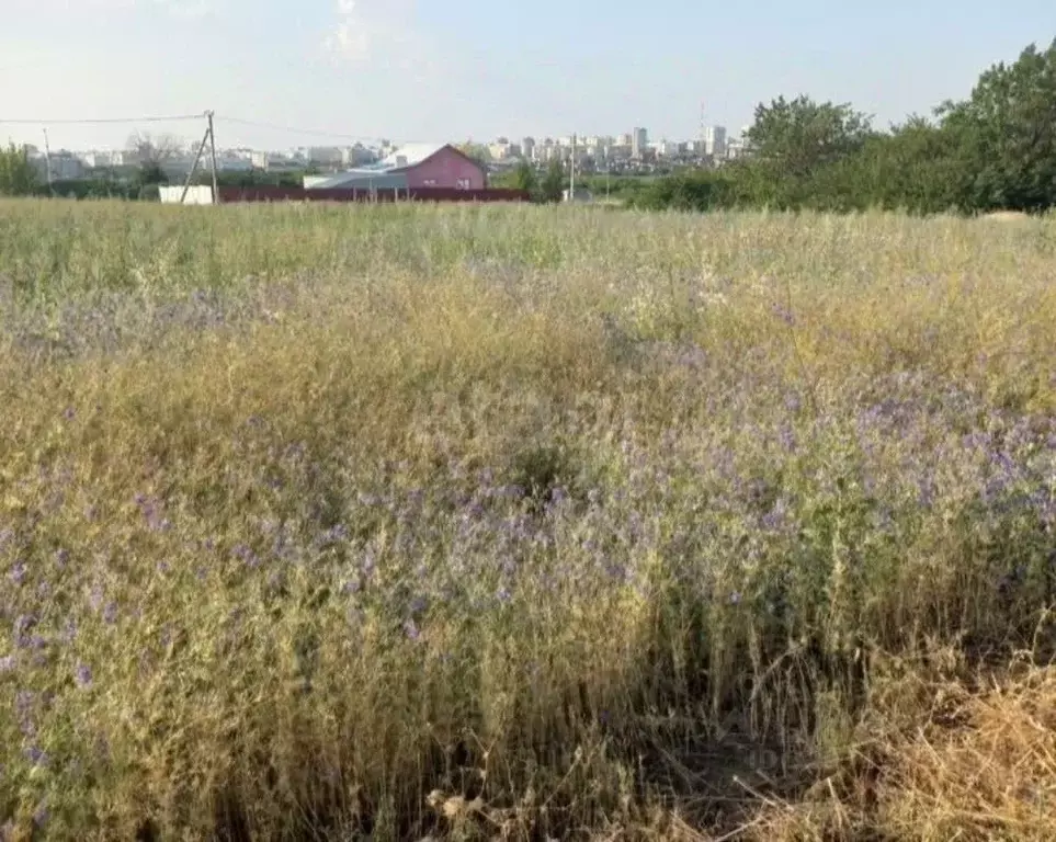 Участок в Белгородская область, Белгородский район, Дубовское с/пос, ... - Фото 1