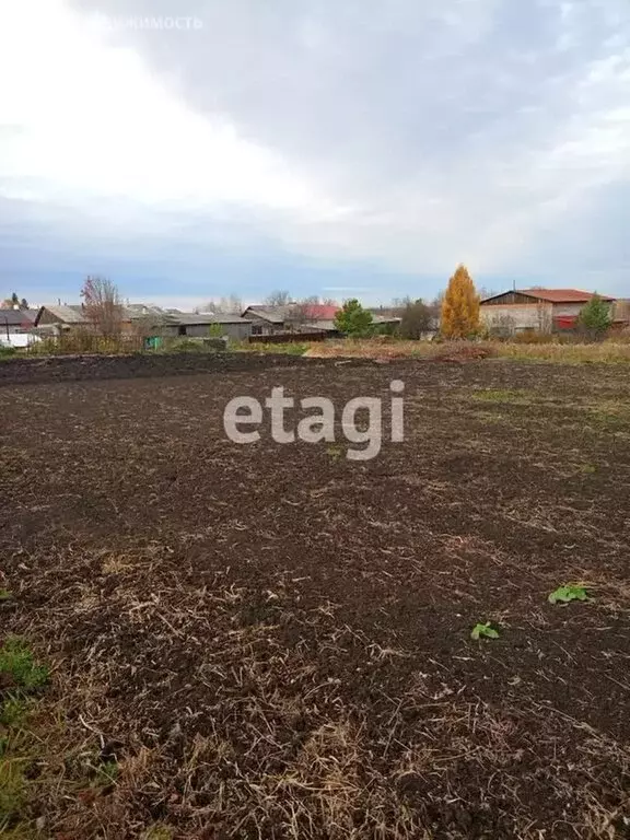 Участок в Свердловская область, Ирбитское муниципальное образование, ... - Фото 1