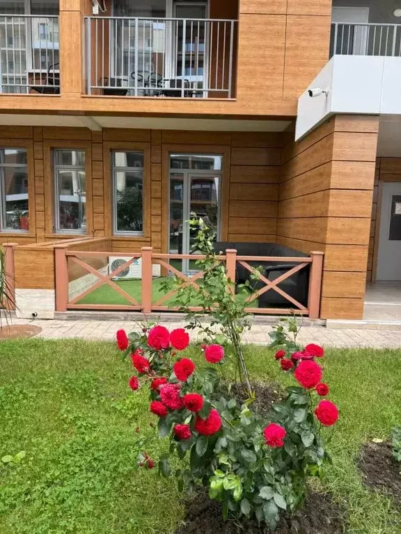 Студия Краснодарский край, Сочи городской округ, Дагомыс пгт ул. ... - Фото 0