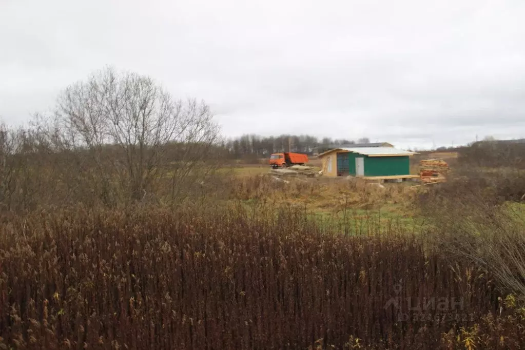 Участок в Московская область, Шаховская муниципальный округ, д. ... - Фото 1