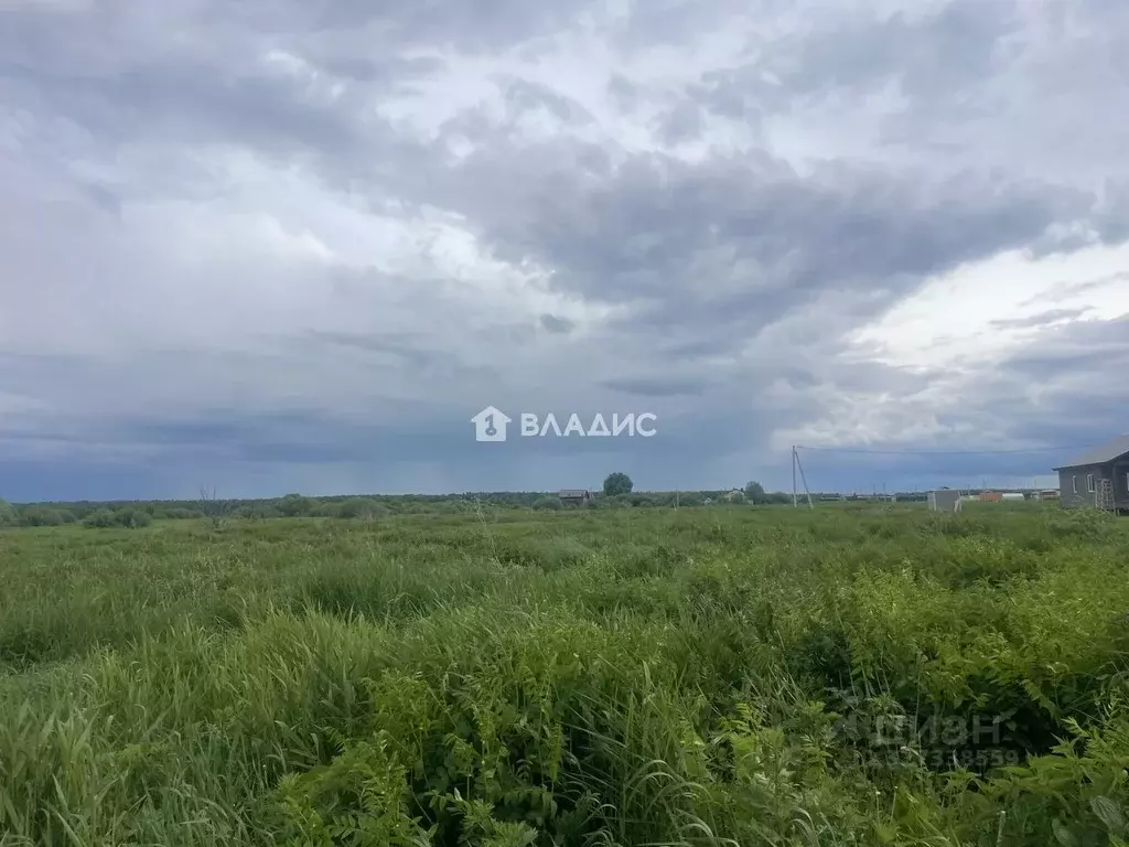 Участок в Владимирская область, Собинский муниципальный округ, с. ... - Фото 1
