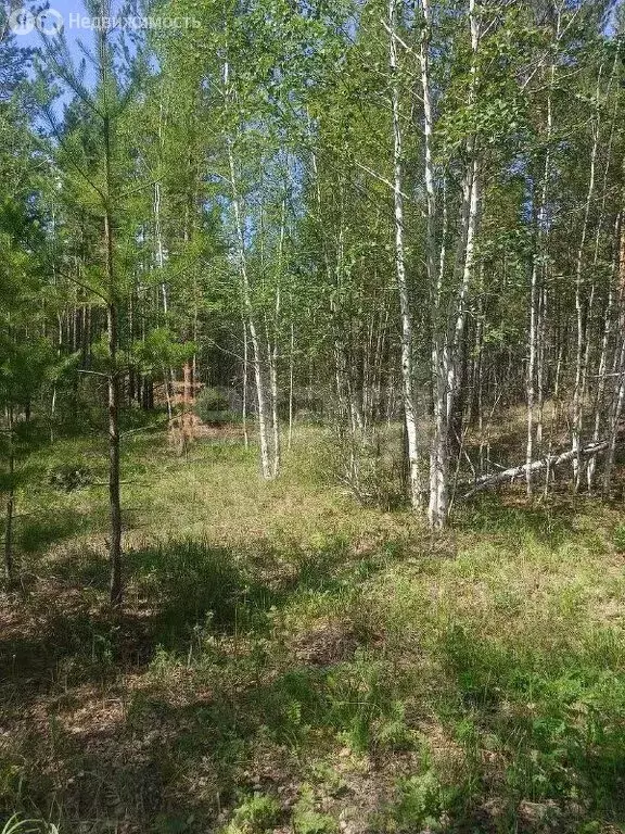 Участок в Читинский район, село Смоленка (26.21 м) - Фото 1