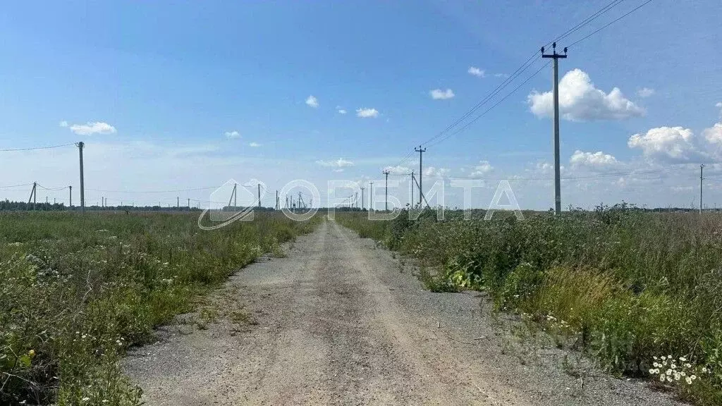 Участок в Тюменская область, Тюменский район, д. Малиновка, Малиновка ... - Фото 0