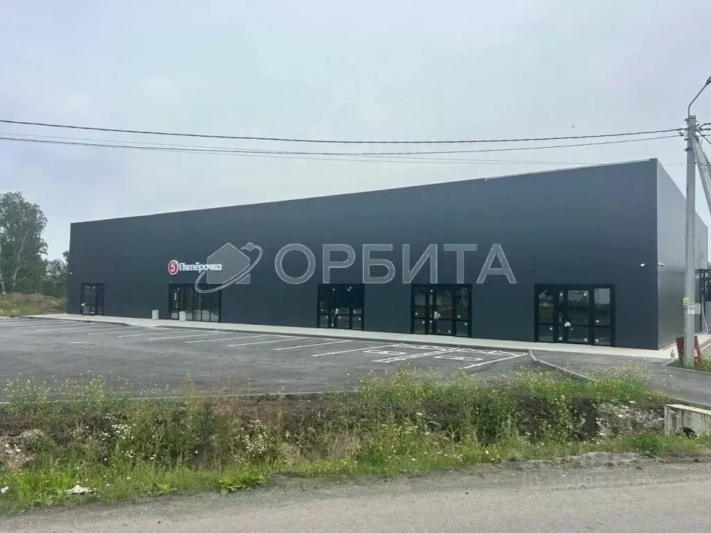 Участок в Тюменская область, Тюменский муниципальный округ, Онегин кп  ... - Фото 2