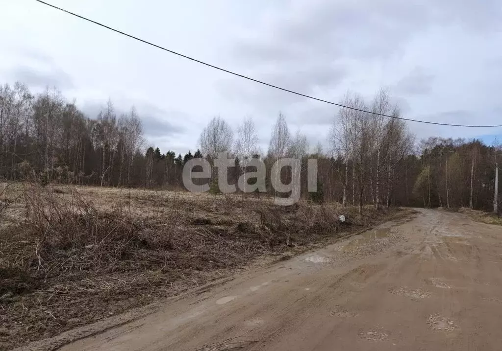 Участок в Костромской район, Минское сельское поселение, село Минское ... - Фото 1