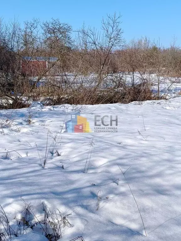 Участок в Тульская область, Тула городской округ, пос. Новый ул. ... - Фото 1