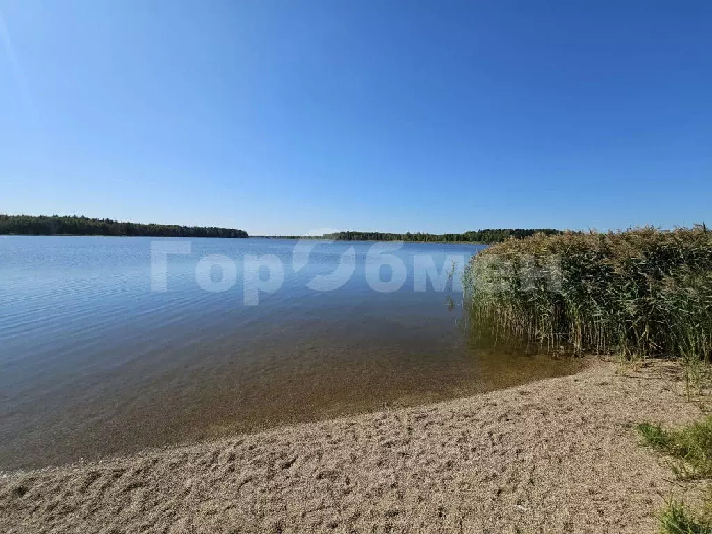 Продается участок в д. Сутоки - Фото 1