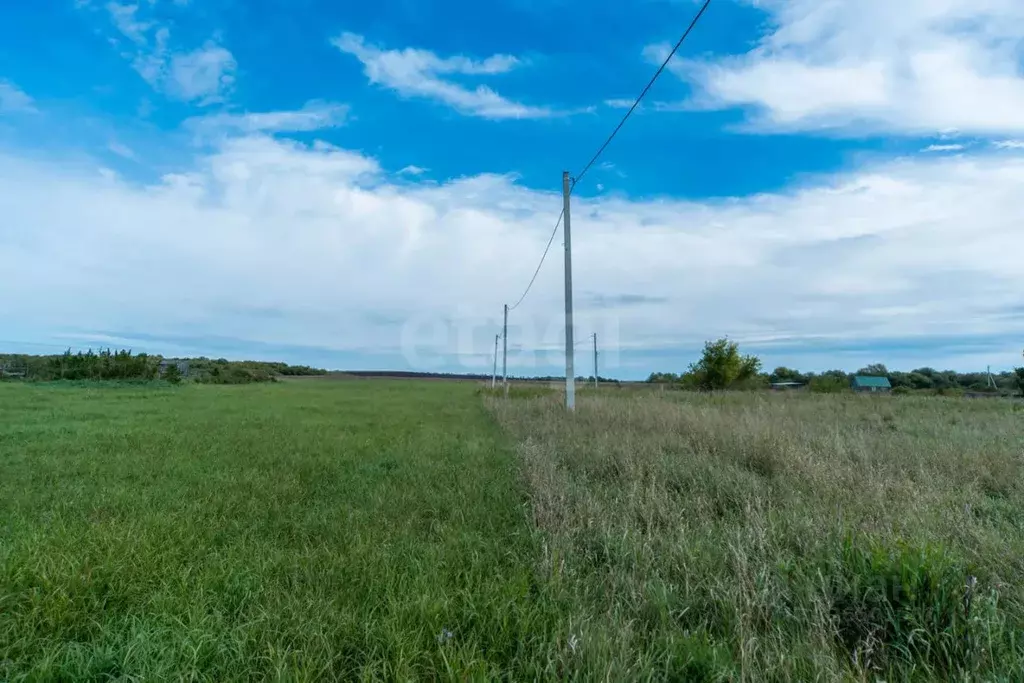 Участок в Алтайский край, Смоленский район, с. Смоленское ул. ... - Фото 2